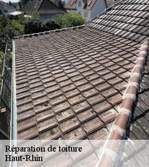 reparation-de-toiture 2