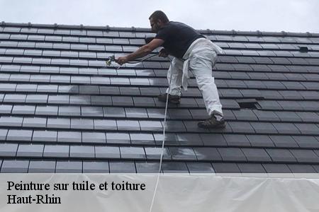 peinture-sur-tuile-et-toiture 2