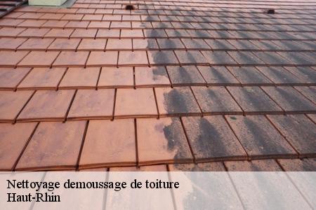 nettoyage-demoussage-de-toiture 2