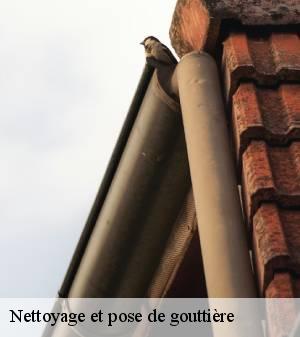 nettoyage-et-pose-de-gouttiere 3