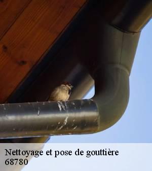 nettoyage-et-pose-de-gouttiere 2