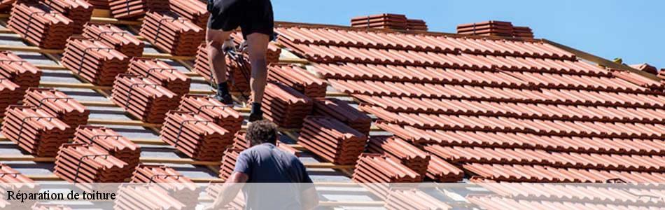 reparation-de-toiture 3