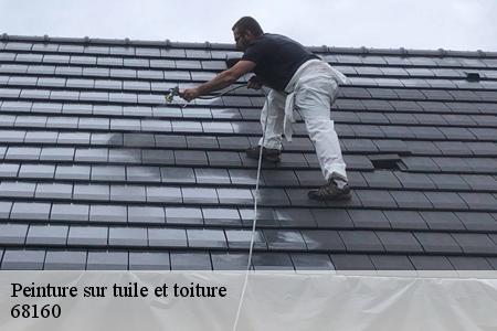 peinture-sur-tuile-et-toiture 2