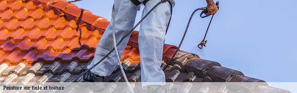 peinture-sur-tuile-et-toiture 3