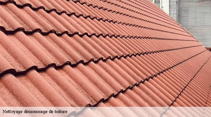 nettoyage-demoussage-de-toiture 6