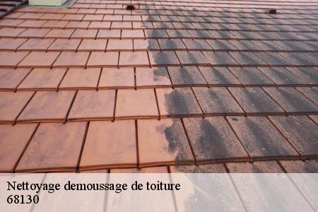 nettoyage-demoussage-de-toiture 2