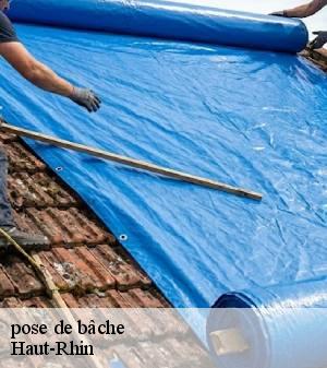 pose-de-bache 2