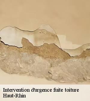 intervention-d-urgence-fuite-toiture 2