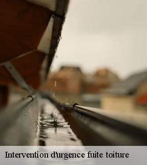 intervention-d-urgence-fuite-toiture 3