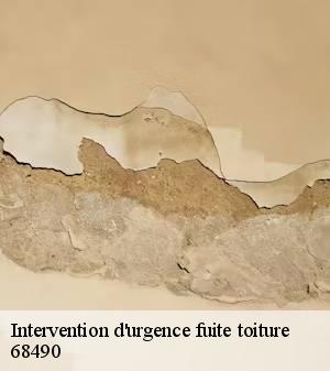 intervention-d-urgence-fuite-toiture 2